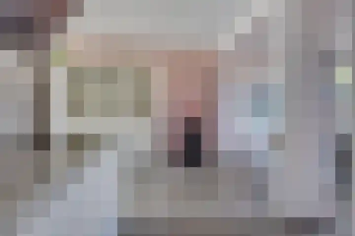 Seinehof 15 Veldhoven thumbnail 7