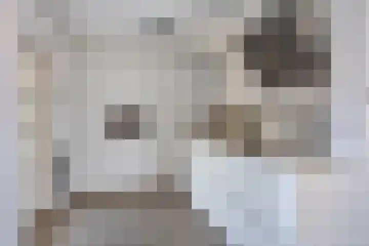 Seinehof 15 Veldhoven thumbnail 8
