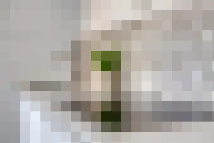 Seinehof 15 Veldhoven thumbnail 9