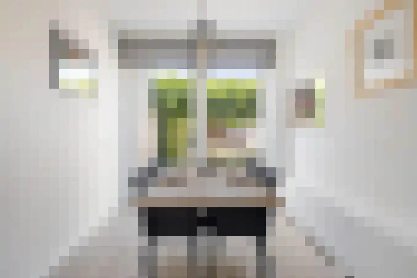 Seinehof 18 Veldhoven thumbnail 12