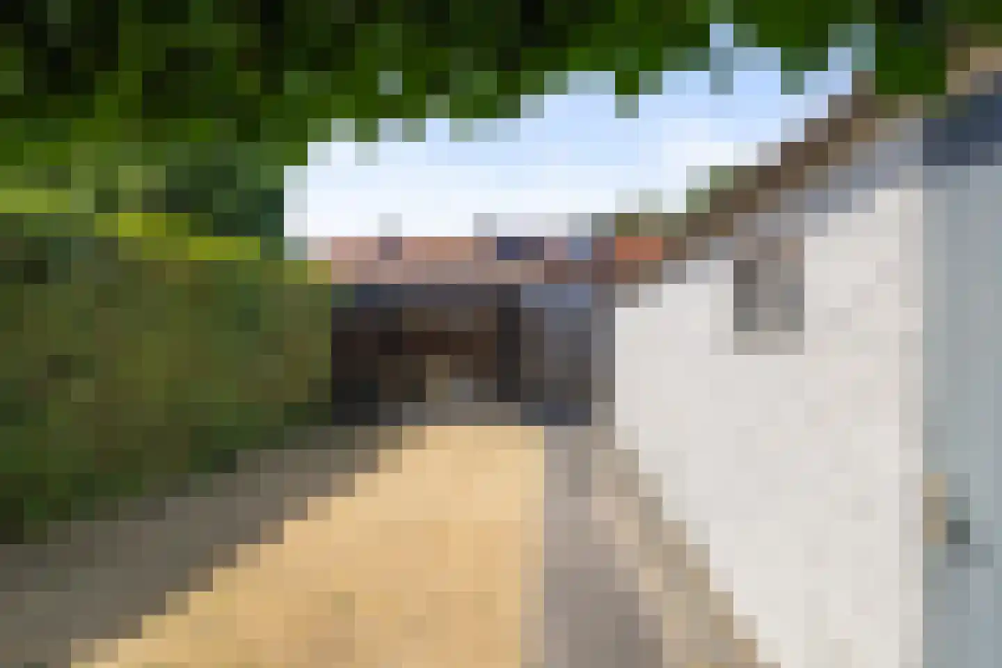 Seinehof 18 Veldhoven thumbnail 27