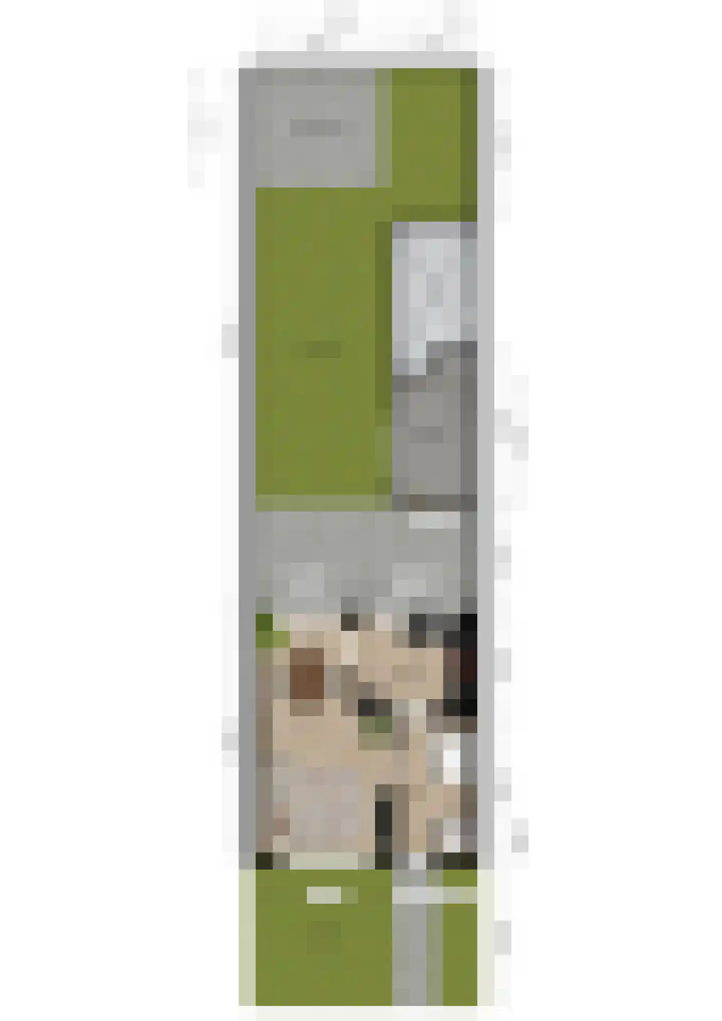 Seinehof 18 Veldhoven thumbnail 30