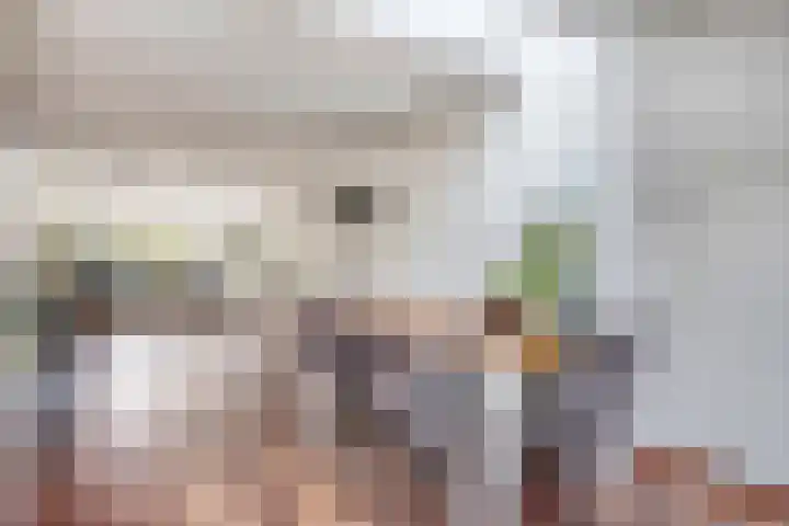 Seinelaan 24 Son en Breugel thumbnail 10
