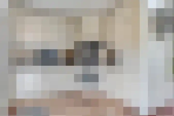 Seinelaan 24 Son en Breugel thumbnail 11