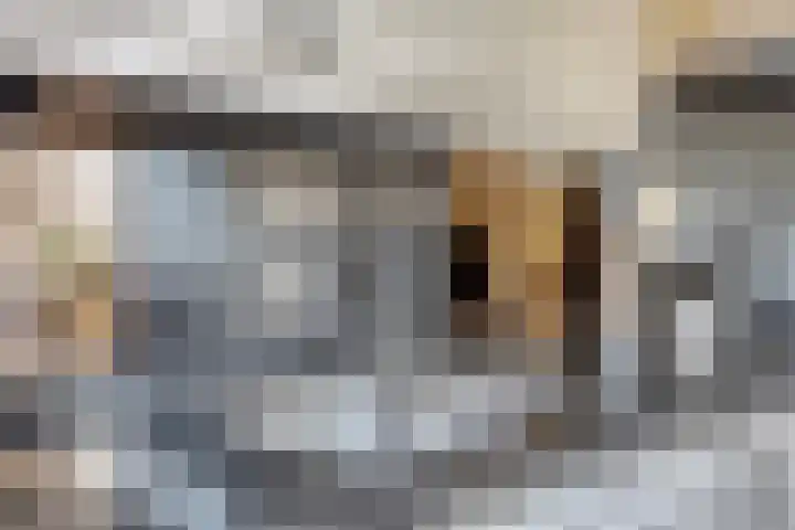 Seinelaan 24 Son en Breugel thumbnail 13
