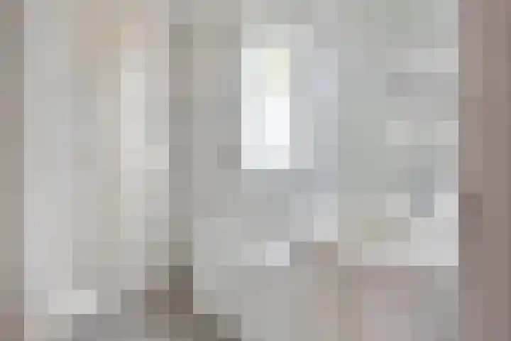 Seinelaan 24 Son en Breugel thumbnail 16