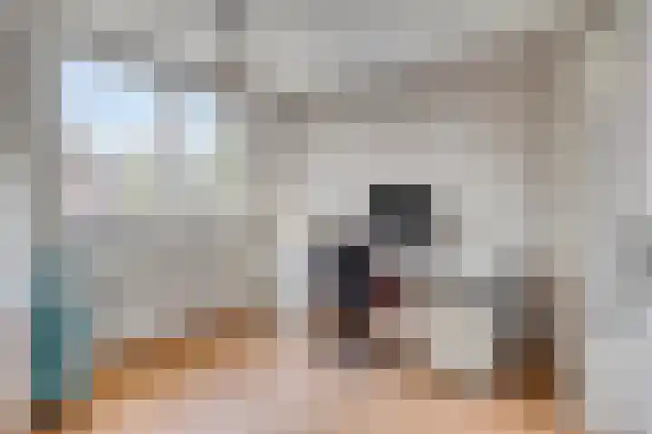 Seinelaan 24 Son en Breugel thumbnail 20