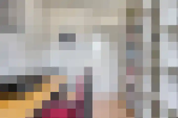 Seinelaan 24 Son en Breugel thumbnail 23