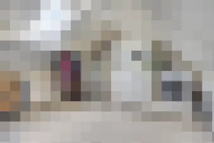 Seinelaan 24 Son en Breugel thumbnail 25