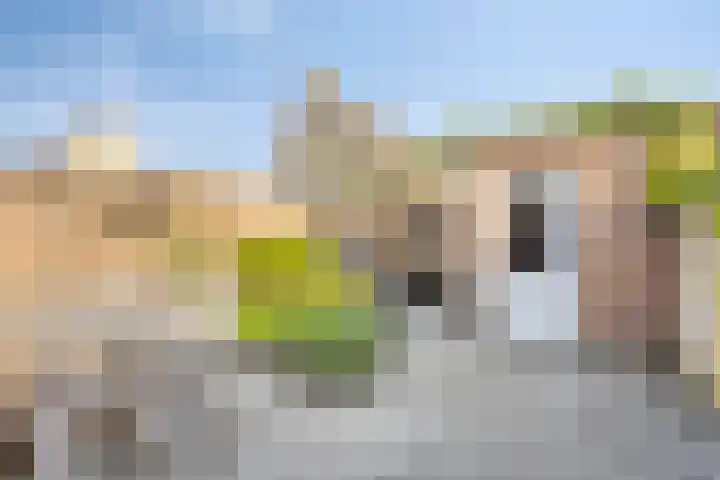 Seinelaan 24 Son en Breugel thumbnail 26