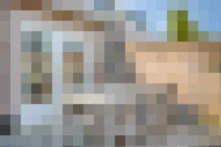 Seinelaan 24 Son en Breugel thumbnail 28