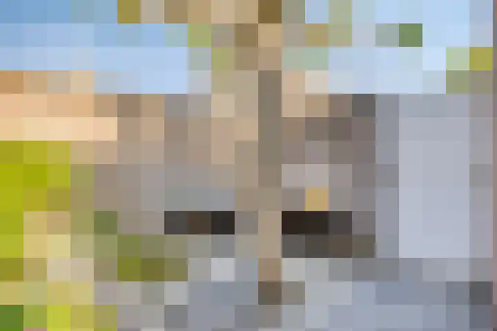 Seinelaan 24 Son en Breugel thumbnail 29