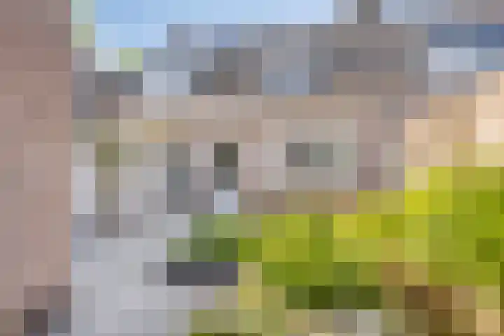 Seinelaan 24 Son en Breugel thumbnail 30