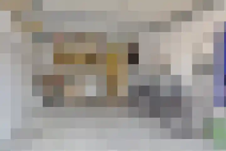 Seinelaan 24 Son en Breugel thumbnail 32
