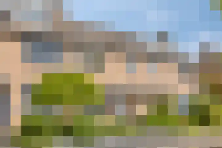 Seinelaan 24 Son en Breugel thumbnail 33