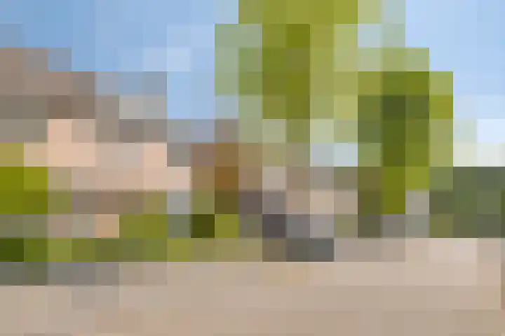 Seinelaan 24 Son en Breugel thumbnail 34