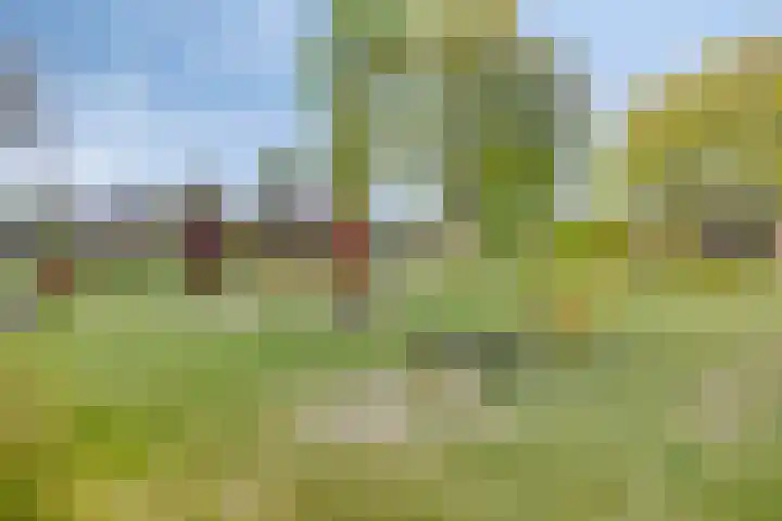 Seinelaan 24 Son en Breugel thumbnail 35