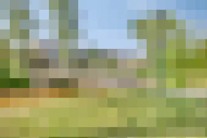 Seinelaan 24 Son en Breugel thumbnail 36