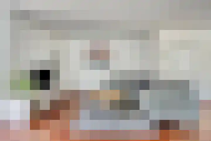 Seinelaan 24 Son en Breugel thumbnail 5