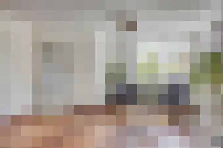 Seinelaan 24 Son en Breugel thumbnail 7