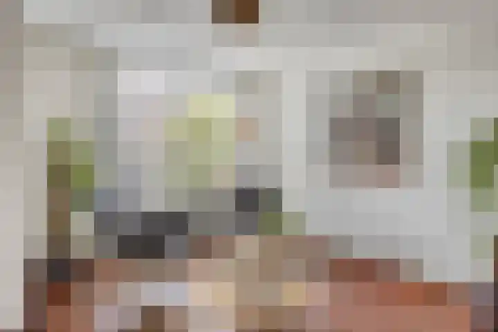 Seinelaan 24 Son en Breugel thumbnail 8