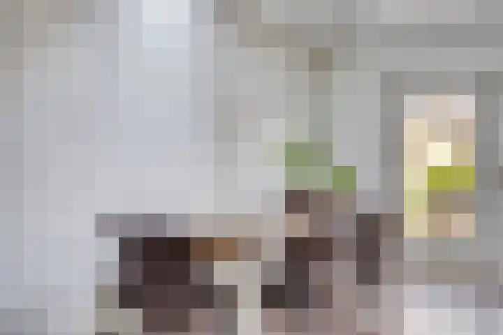 Seinelaan 24 Son en Breugel thumbnail 9