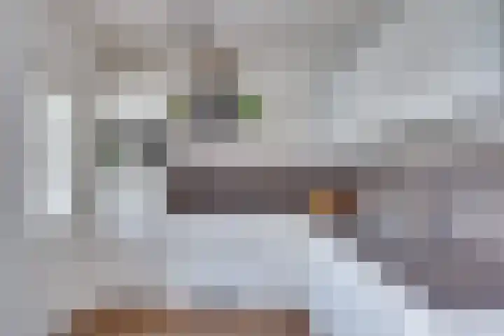 Seinelaan 32 Son en Breugel thumbnail 14