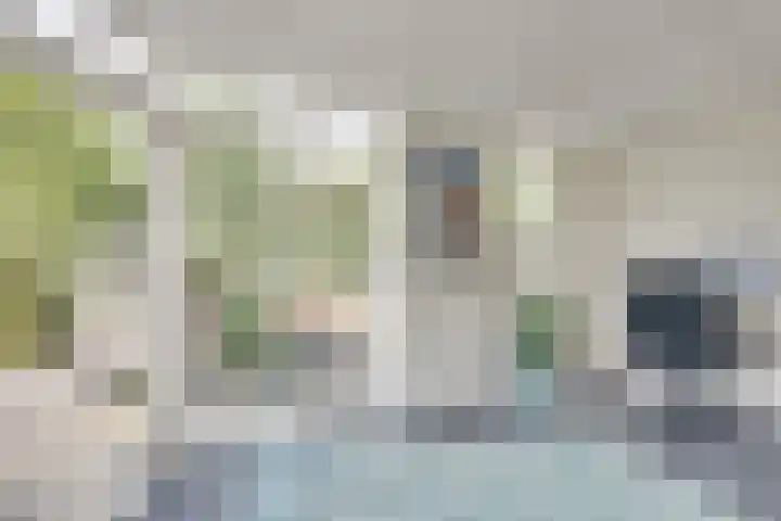 Seinelaan 32 Son en Breugel thumbnail 18