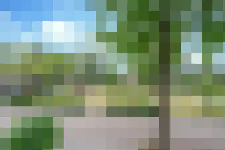 Seinelaan 32 Son en Breugel thumbnail 27