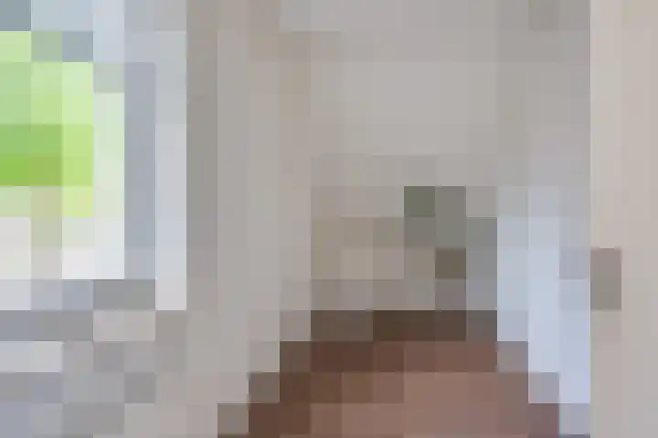 Seinelaan 32 Son en Breugel thumbnail 30