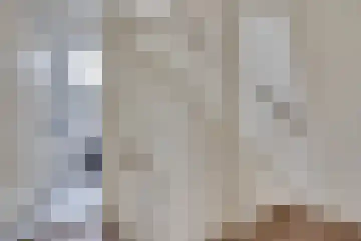 Seinelaan 32 Son en Breugel thumbnail 36