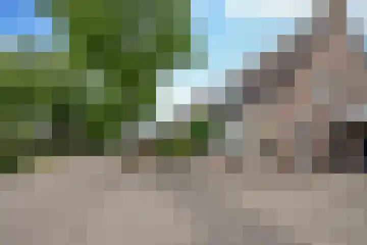 Seinelaan 32 Son en Breugel thumbnail 41