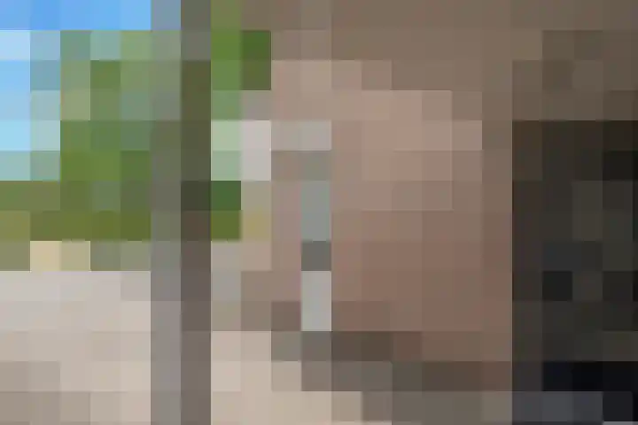 Seinelaan 32 Son en Breugel thumbnail 43