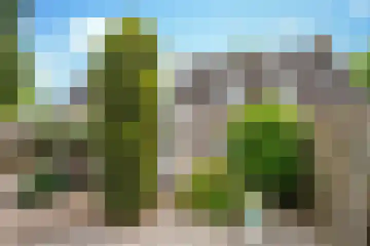 Seinelaan 32 Son en Breugel thumbnail 46