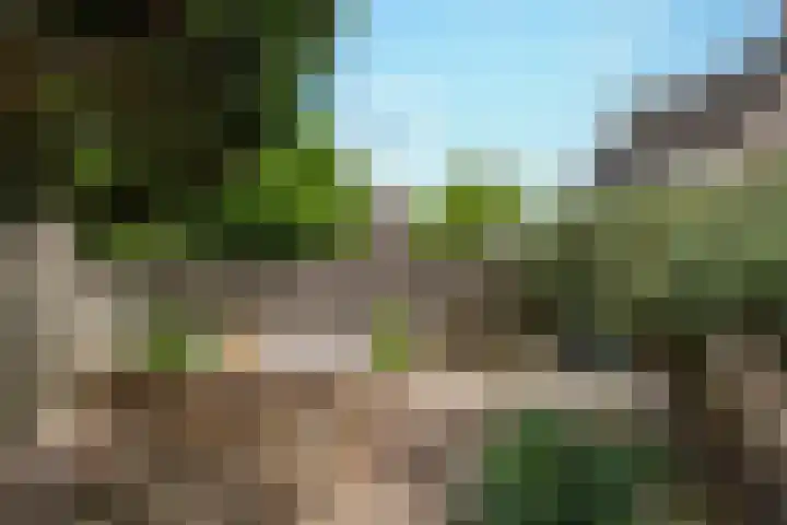 Seinelaan 32 Son en Breugel thumbnail 47