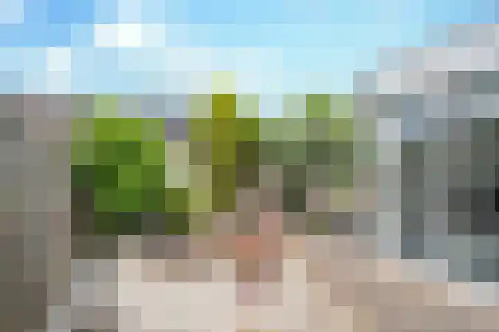 Seinelaan 32 Son en Breugel thumbnail 49