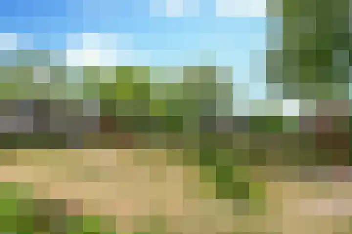 Seinelaan 32 Son en Breugel thumbnail 50