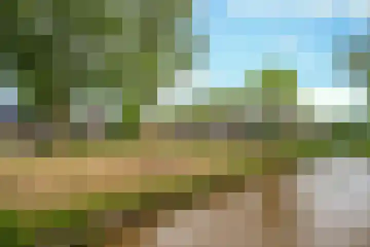 Seinelaan 32 Son en Breugel thumbnail 51