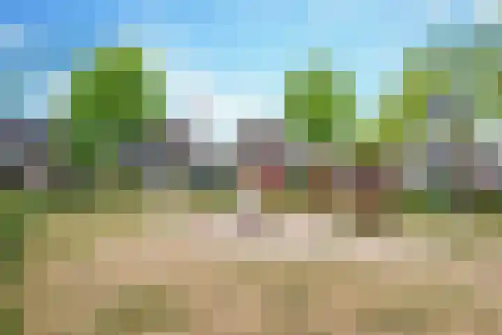 Seinelaan 32 Son en Breugel thumbnail 52