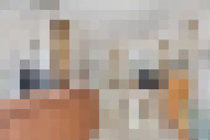 Seinelaan 34 Son en Breugel thumbnail 14