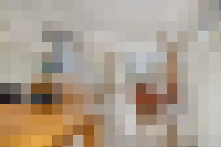 Seinelaan 34 Son en Breugel thumbnail 17