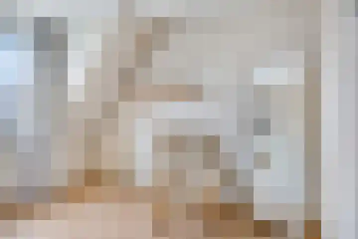 Seinelaan 34 Son en Breugel thumbnail 25