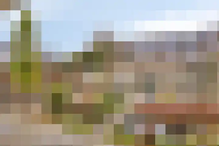 Seinelaan 34 Son en Breugel thumbnail 38