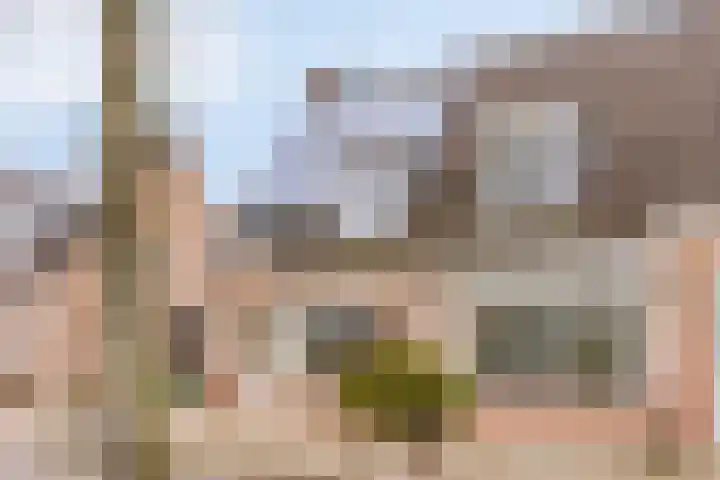 Seinelaan 34 Son en Breugel thumbnail 43