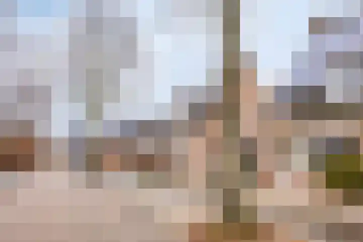 Seinelaan 34 Son en Breugel thumbnail 44