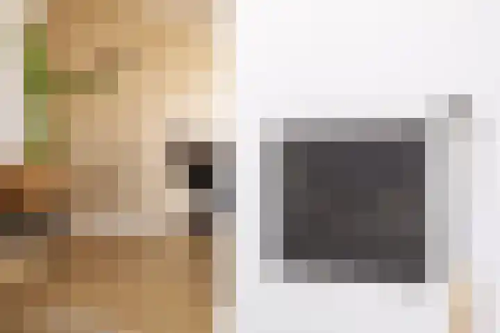 Seinelaan 37 Eindhoven thumbnail 10