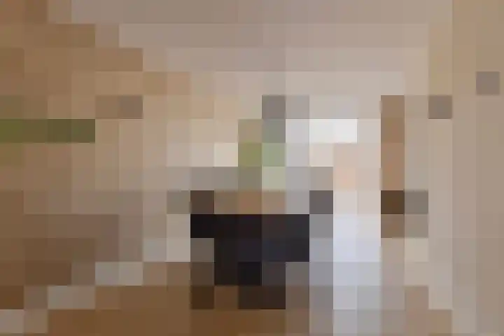 Seinelaan 37 Eindhoven thumbnail 11