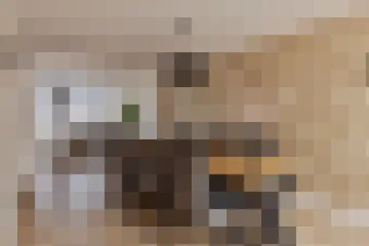 Seinelaan 37 Eindhoven thumbnail 12