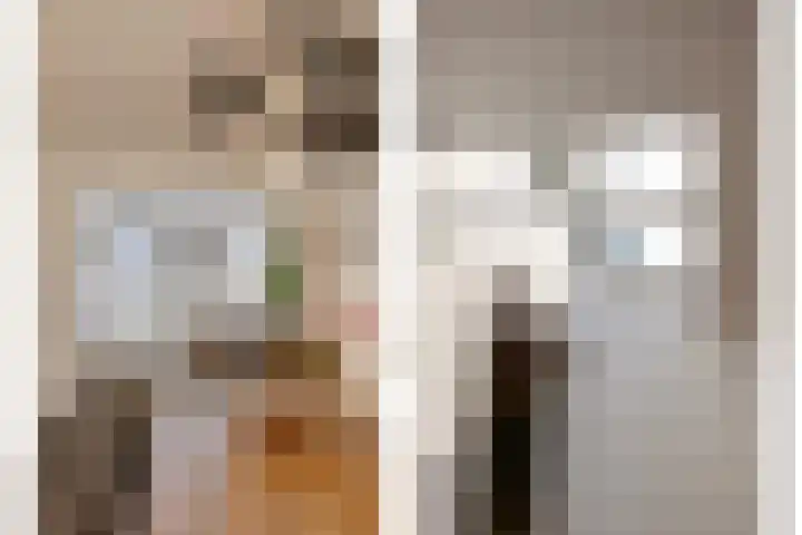 Seinelaan 37 Eindhoven thumbnail 13
