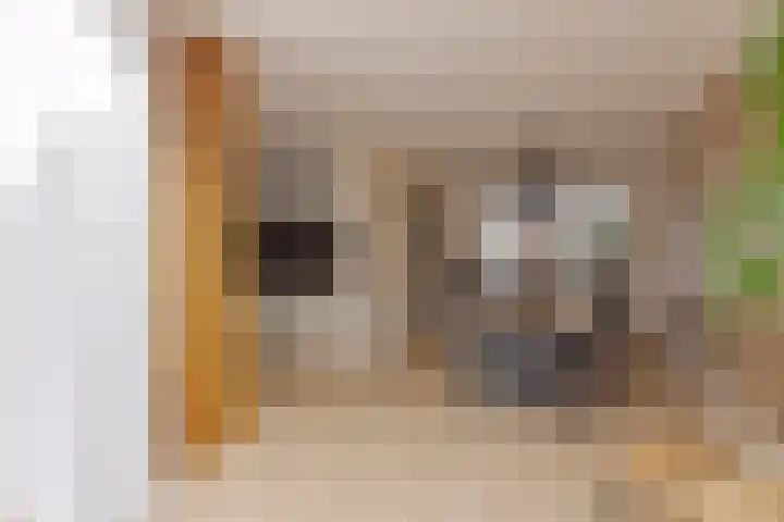 Seinelaan 37 Eindhoven thumbnail 14